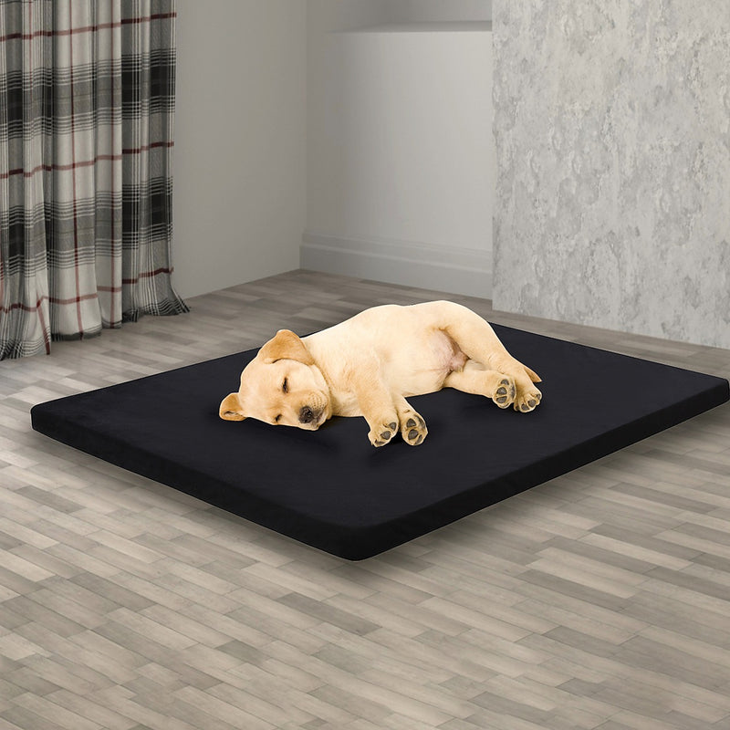 Foam dog clearance mat