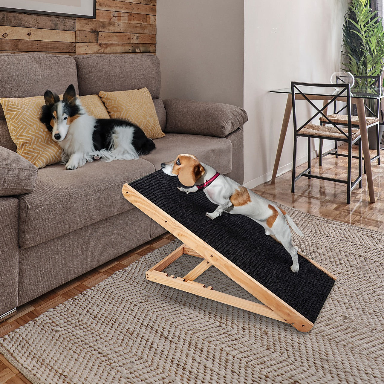 Travel on sale dog ramp