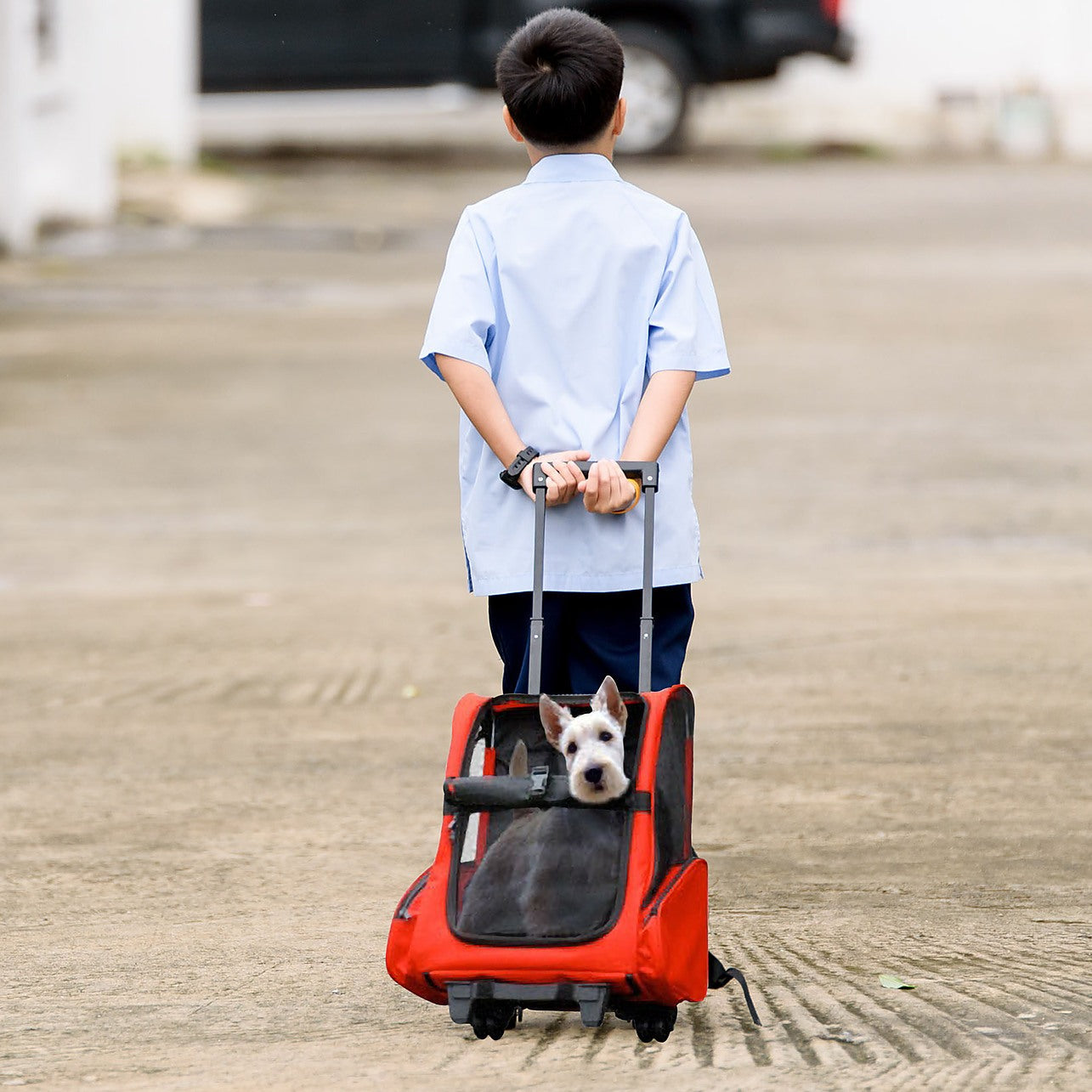 Dog hot sale carrier trolley